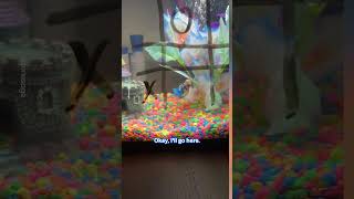 Playing Tic-Tac-Toe With A Fish 🐟