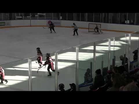 (2021-2022) U13BB Oakville Hornets #1253 at North Halton Twisters #2517 12-12-2021 - Period 1