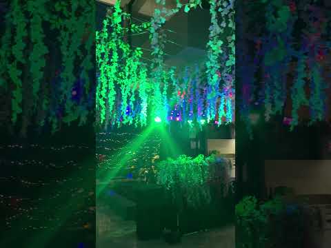 DJ IVY STUDIO video.