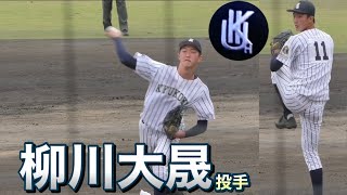 動画を再生