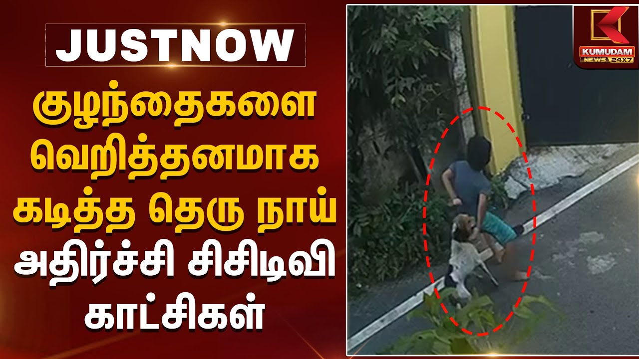 குழந்தைகளை வெறித்தனமாக கடித்த தெரு நாய்.. அதிர்ச்சி சிசிடிவி காட்சிகள் | Chennai | Kumudam News