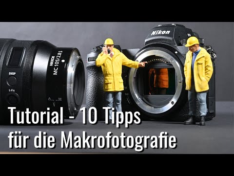 10 Tipps für Makrofotografie - diese 10 Basics solltest Du kennen