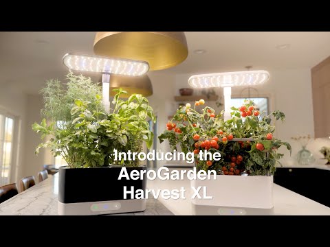 Introducing the AeroGarden Harvest XL