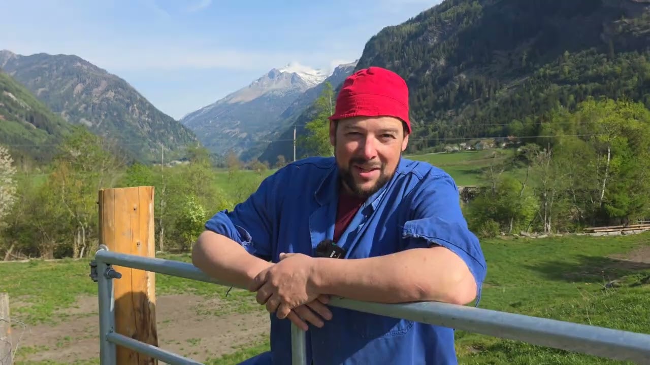 Österreich baut ein Atomkraftwerk 