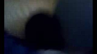 meet our brown friend nico!