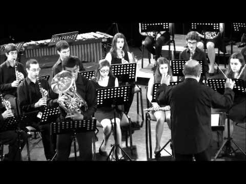 Euphonium Concerto - Joseph Horovitz (1st movement)