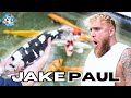 DELIVERING JAKE PAUL'S KNOCKOUT KOI COLLECTION