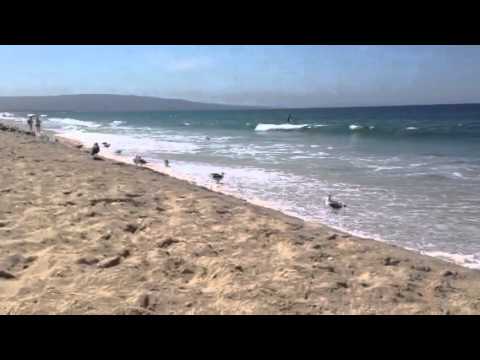 Beautiful Pacific Ocean