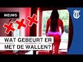 Halsema onderzoekt sluiting Wallen
