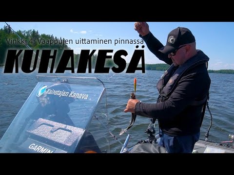 Vieheden uittaminen pinnassa | Kuhakesä uisteluvinkki 4
