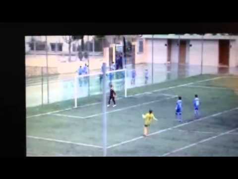 Alevin at A son sardina