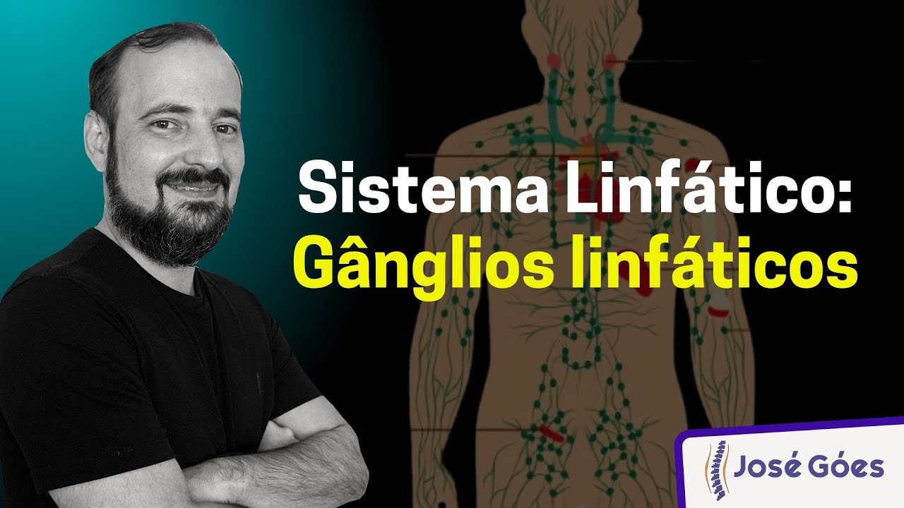 Sistema Linfático: Gânglios linfáticos | José Góes