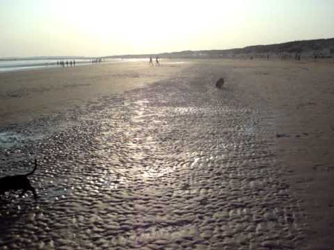 Rosie at the seaside - PART 1