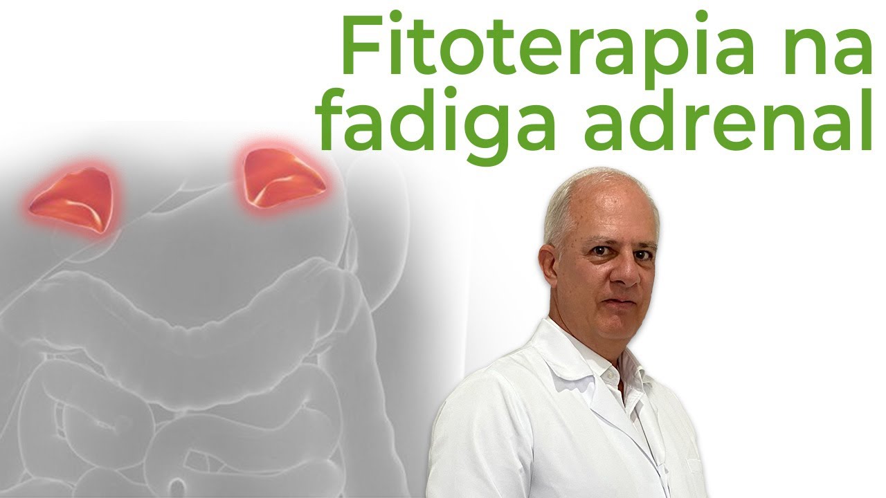 Fitoterapia na fadiga adrenal
