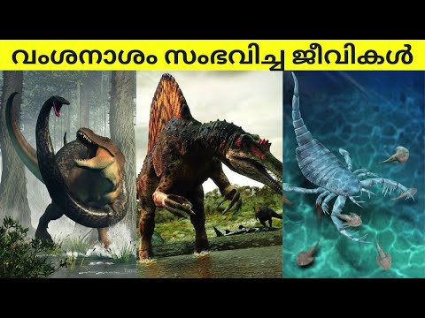 വംശനാശം സംഭവിച്ച 5 ജീവികൾ|5 extincted animals#malayalam