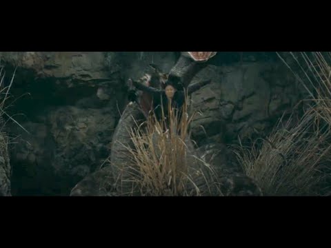 映画　『蛇王 / King of Snake』　公式予告