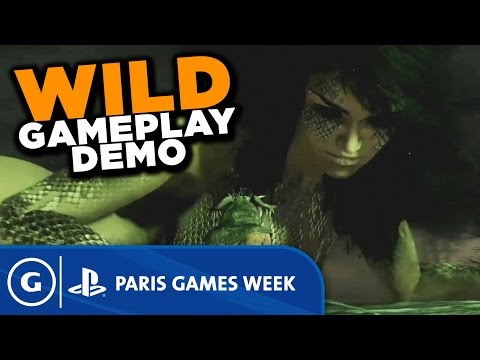 Paris Games Week 2015