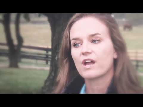 Gulfstream Park Replay Show | December 7, 2017