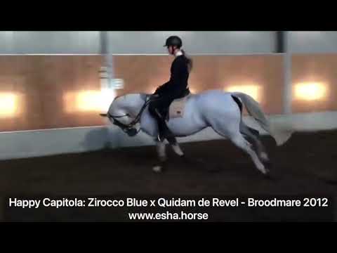 Happy Capitola: ZIROCCO BLUE x QUIDAM DE REVEL