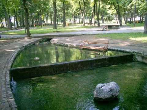 Narodna Kola - Niski sa,sa