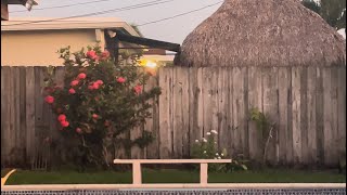 Cover art for Say I Haven't Lost It All