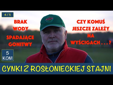 Cynki ze Stajni Rosłońce 4 i 5 dzień wyścigowy Adam Wyrzyk