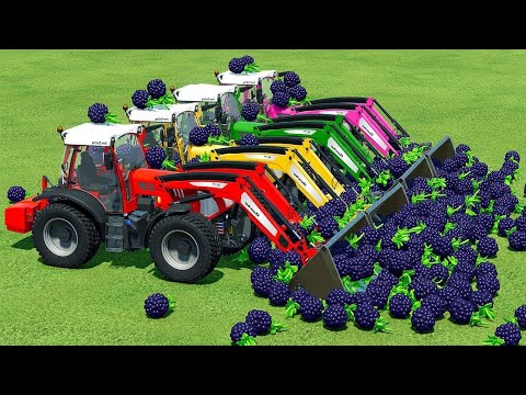 LOAD AND TRANSPORT BLACKBERRY WITH RIGITRAC TRACTORS - Farming Simulator 22