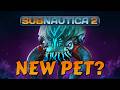 Can we capture the Collector? SUBNAUTICA 2 LIVE 🔴 DEFAULT Thumbnail