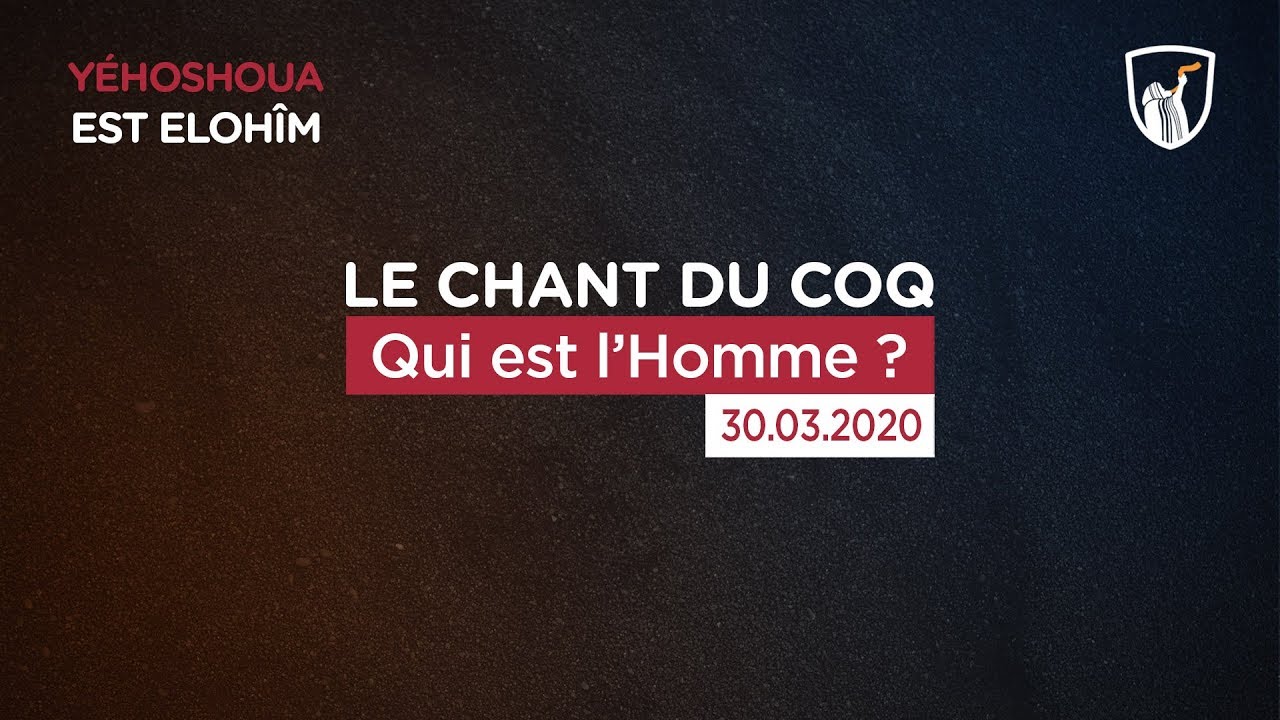 Thumbnail of video: Qui est l'Homme