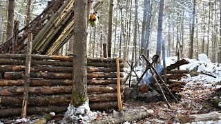 Solo Bushcraft Camp. 2 Nights in the Snow - Natural Shelter, Minimal Gear.