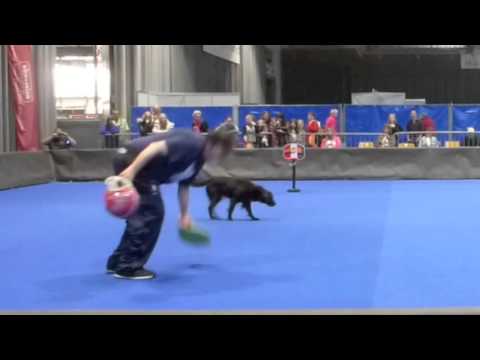 Dog Dance - Freiburg im Breisgau (D)