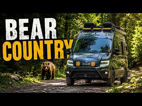 We Camped in a Forest Full of Bears