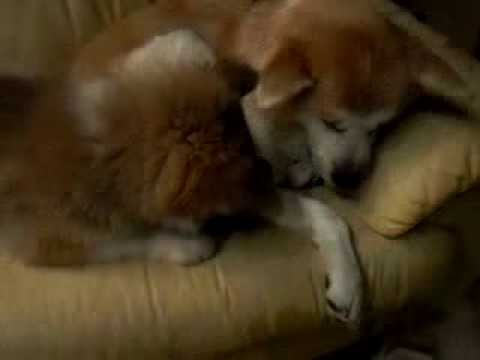 Una figlia meravigliosa