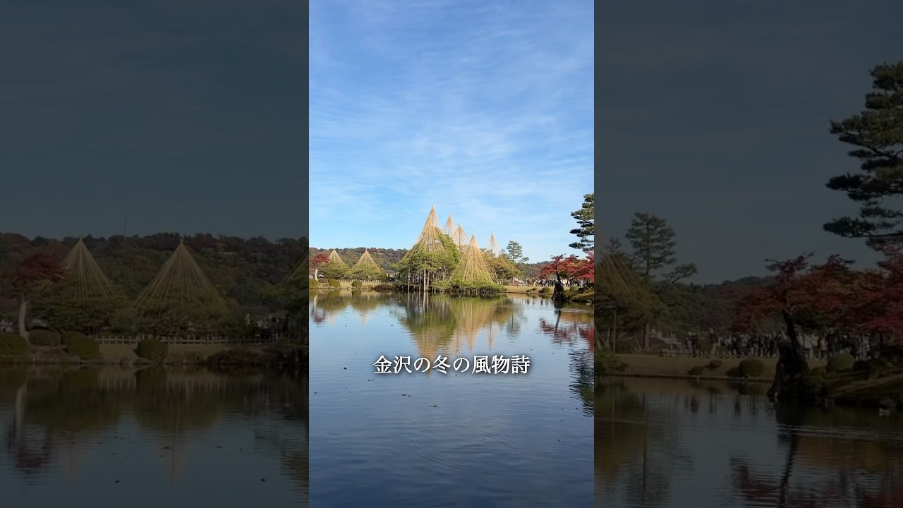 【金沢人気観光地】三連休に行きたい！冬の風物詩、雪吊り