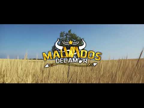 LOS MALVADOS DEL AMOR - TE HICIERON PARA MI (PROMO 1RA PRODUCCION)