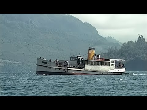 Por Los Ríos y Bosques Valdivianos