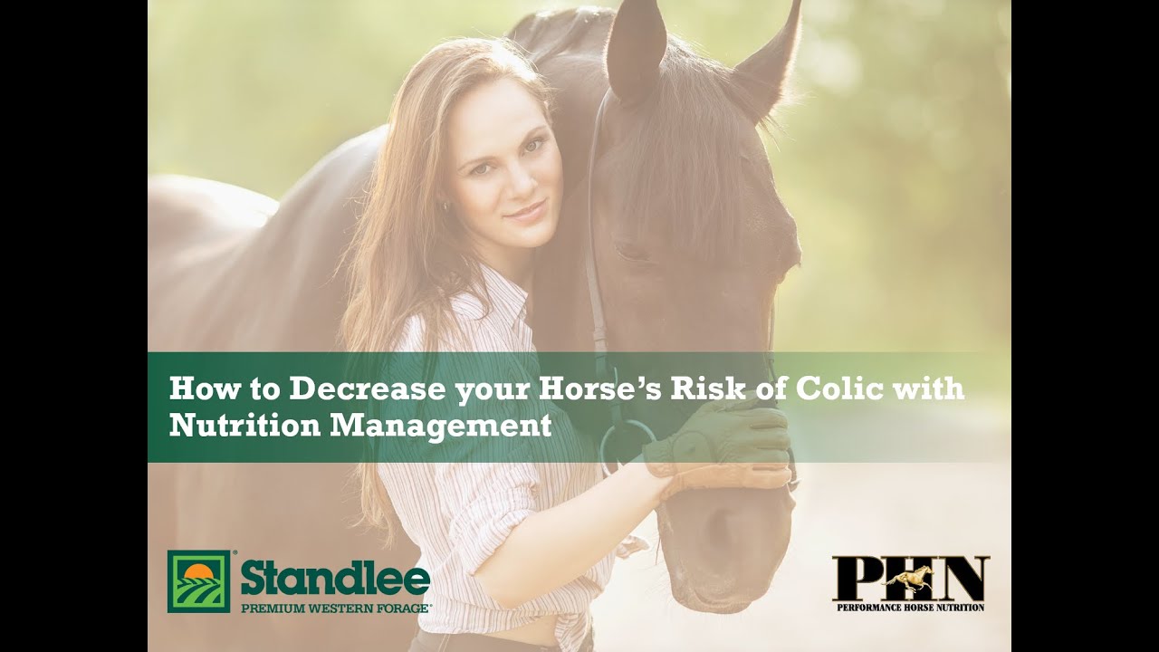 How to Decrease Your Horse's Risk of Colic with Nutrition Management