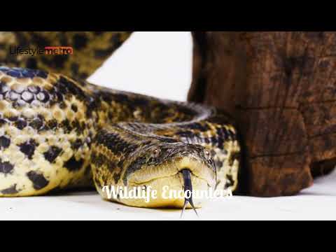 30 Best Places to Visit in Peru - Travel Video and Guide