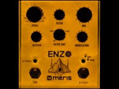 The Truth About the Meris Enzo guitar synth pedal Part II (Meris Enzo & Midi)