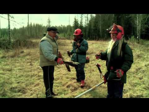 The Simple Life with Daniel Paris & Paow!