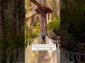 Redwoods Canopy Trail 🌳 Trees of Mystery 🌀 Redwood National Park California 🌎