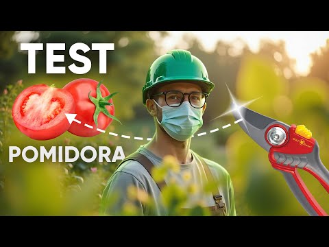 Sekator tępy jak stara siekiera? Sprawdź, jak go naostrzyć i umyć! ⚔️✨