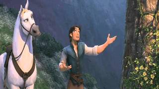 Vicente fernandez el oficio de amar con fotas x raf