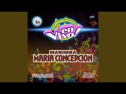 Mix Nacional 1: El Tikalito / Bailando en Tercera Dimensión (En Vivo)