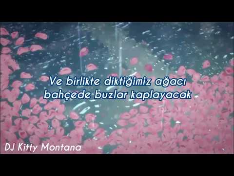 suvi teräsniska - jos menet pois // türkçe çeviri