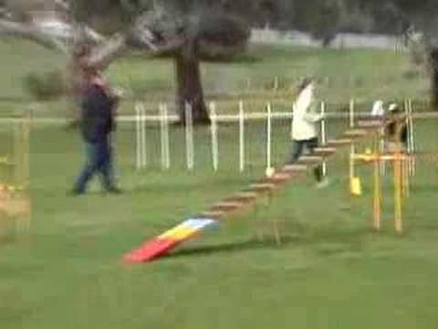 Ness Excellent Agility