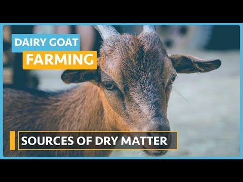 Dairy Goat Farming Lesson 1 Course Outline