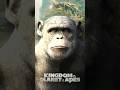 Why Is Rocket In Kingdom Of The Planet Of The Apes