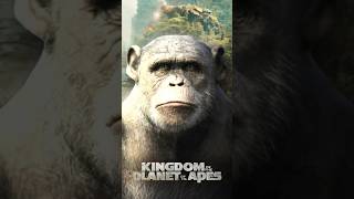 Why is Rocket in Kingdom of the Planet of the Apes?