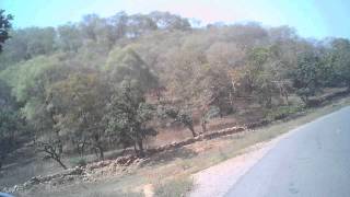 Greenery and Road: Allahabad to Panna with my friend Alok Yr2013 #askdushyant